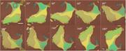 Optical microscopy images of a BP for different values of the rotation angle (scale bar: 10 µm).