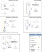 TSO-DSO coordination models (Gerard et al., 2018).