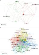 Trends in the networks of keywords’ co-occurrence throughout time. (a) 2013–2017 keywords co-occurrence network. (b) 2018–2022 keywords co-occurrence network.