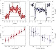 Kerr rotation spectroscopy studies [taken from Stamm et al. (2017)] are shown. In (a) and (b), the Kerr rotation angles θK as a function of y-scan (in μm) are shown for certain values of the current density, j (j in 106 A/cm2) corresponding to thin films of Pt and W, respectively. (c) and (d) show the linear variation of θK with j for Pt and W. The slopes are opposite in the two cases.