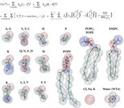 Top: two-body Hamiltonian used by most MD simulation packages and SIRAH to calculate the potential energy. Bottom: superposition of atomistic and CG representations for SIRAH residues relevant to this chapter. Only one residue among some groups of molecules sharing similar mapping is shown for shortness. It corresponds to that indicated by the first letter (single-letter amino acid code or abbreviation). Gray sticks indicate the connectivity in the CG scheme, and semitransparent spheres show each bead's actual van der Waals radii. Blue, red, and white denote positive, negative, and neutral partial charges, respectively.