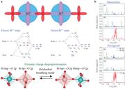 (a) Molecular orbital (MO) picture of Bi 6sp—O 2p vs Bi 6p—O 2p hybridization stabilizing Bi5+ or Bi3+ charge state; (b) partial density of states of BaBiO3 in monoclinic and tetragonal symmetries subjected to different strain conditions.