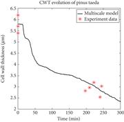 The expected CWT evolution from the multiscale model and experiment data.