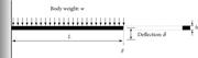 Deflection of a cantilever beam under its own weight.