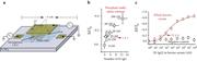 (a) Illustration of the single molecule with a large transistor (SiMoT) device structure, (b) human-immunoglobulin-G (H-IgG) curve in phosphate-buffer-saline solution in the 0–100 zM range. (c) Dose curve of human-immunoglobulin-G added into the whole real bovine blood serum (red squares) in the 0.6–6 × 107 zM range. In the control experiment, human-immunoglobulin-M was used (black circles) instead of anti-human-immunoglobulin-G capturing antibodies used for the sensing. The continuous red line is the theoretical curve based on Poisson distribution probability to model single-binding events.