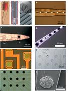 Neural interface electrode materials. (a) TiN electrode used in neuropixel probe. Reprinted with permission from Fiáth et al., Biosens. Bioelectron. 106, 86–92 (2018). Copyright 2018 Elsevier. (b) Microscopy image demonstrating crossover of metal layers (Ti/Au/Ti) and electrode sites. Reprinted with permission from Mercanzini et al., Sens. Actuators A 143, 90–96 (2008). Copyright 2008 Elsevier. (c) Optical images of gold and Ir-plated electrode sites before the pulse test experiment. Reprinted with permission from Fomani and Mansour, Sens. Actuators A 168, 233–241 (2011). Copyright 2011 Elsevier. (d) Electrochemical deposition of conducting polymer (PEDOT) on the electrode sites and around electro-spun PLLA nanofiber templates as a function of deposition time. Reprinted with permission from Abidian et al., Small 6, 421–429 (2010). Copyright 2010 John Wiley and Sons. (e) Photolithographically patterned conducting polymer electrodes. Reprinted with permission from Khodagholy et al., Adv. Mater. 23(36), H268–H272 (2011). Copyright 2011 John Wiley and Sons. (f) High magnification image of a surface array with transparent graphene electrode sites. Reprinted with permission from Park et al., Nat. Commun. 5, 5258 (2014). Copyright 2014 Springer Nature. (g) Optical micrograph of the multi-electrode array device made with carbon nanotube-based pillars. Reprinted with permission from Ben-Jacob and Hanein, J. Mater. Chem. 18, 5181 (2008). Copyright 1991 the Royal Society of Chemistry. (h) SEM image of PPy nanotube outgrowth on silicon dioxide showing a diameter outgrowth of 60 µm. Reprinted with permission from Abidian et al., Small 6, 421–429 (2010). Copyright 2010 John Wiley and Sons.