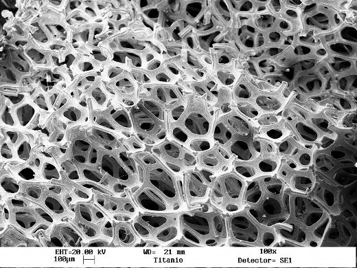 A sponge-like structure made from titanium. CREDIT: Limpgas Tecnologia