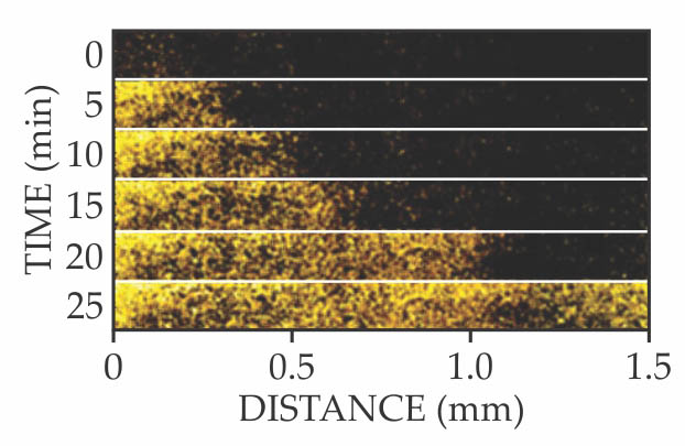 An eye on bacterial communication - figure 1