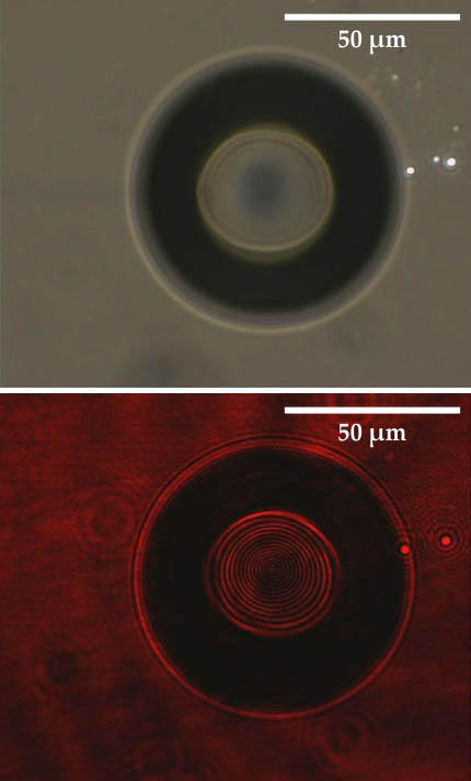 Boiling water one bubble at a time - figure 1