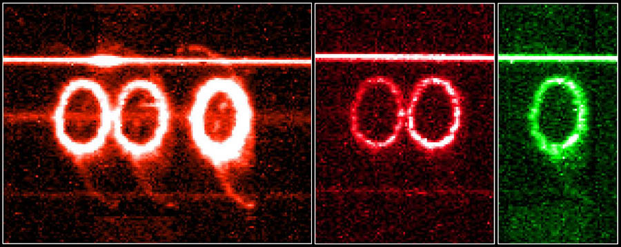 SN 1987A spectra