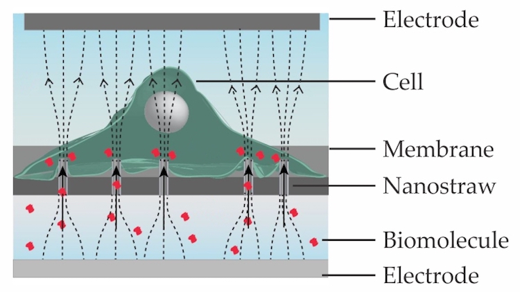 Experimental setup