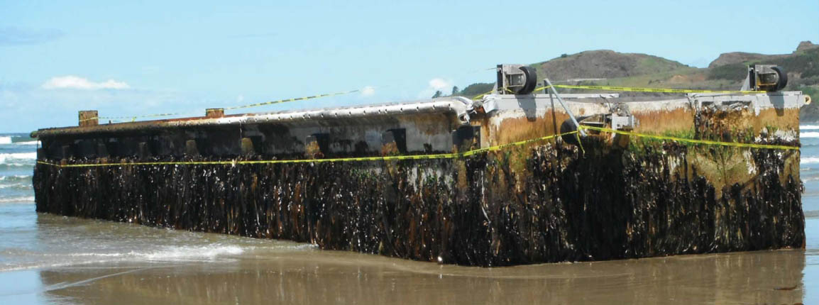 This fisheries dock, originally functioning at the Japanese port of Misawa, washed ashore on Agate Beach, Oregon, on 5 June 2012. (Photograph by John Chapman.)