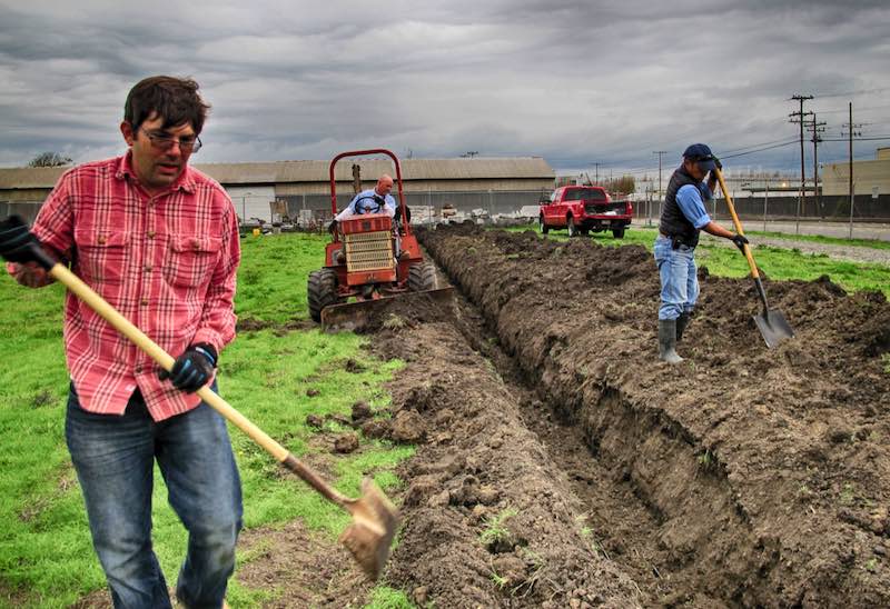 Earthquakes can be detected with fiber-optic cable