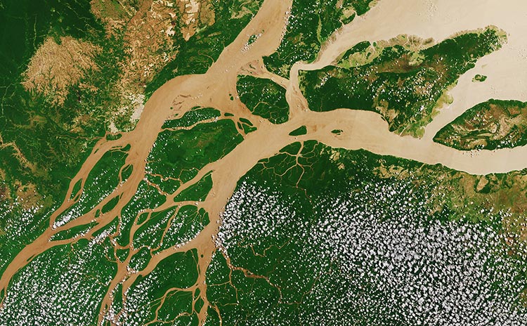Amazon rainforest, satellite view.