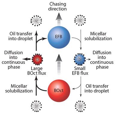 Schematic mechanis