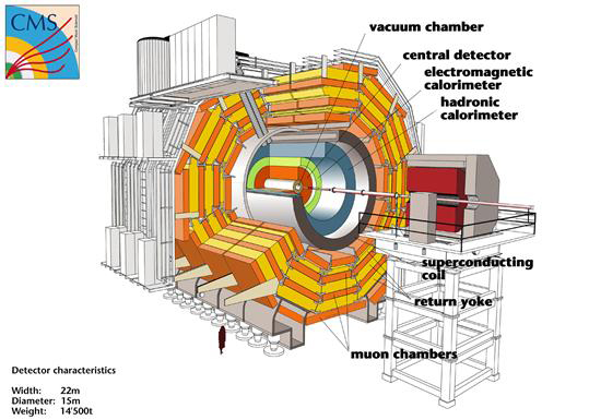 CMS detector schematic.