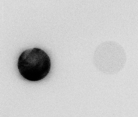 Image-plate autoradiograph of aerosol filters.