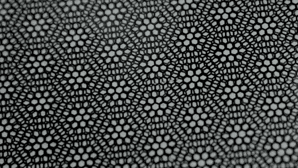 Moire pattern.