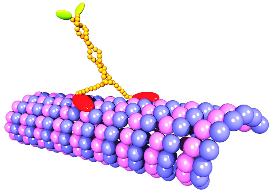 Artist representation of a complex protein structure.