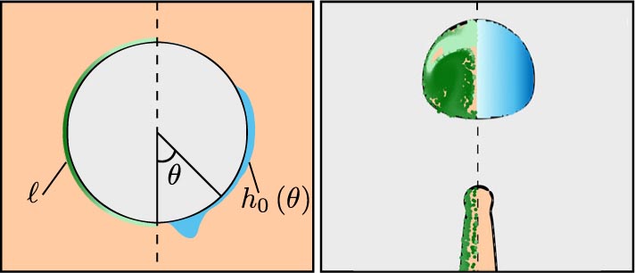 Diagram of a simulated droplet in cross-section and from the side.