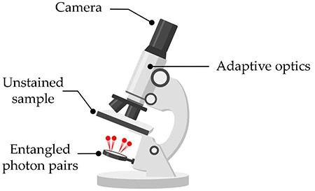 Illustration demonstrating the different parts of the adaptive optics system.