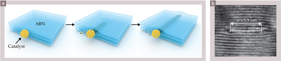 A diagram showing the nanoribbon growth process, and a micrograph of the encapsulation region.