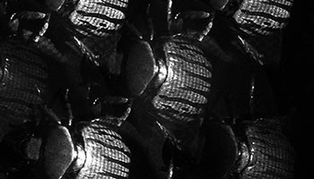 Metamaterial device makes 16 polarization measurements at once