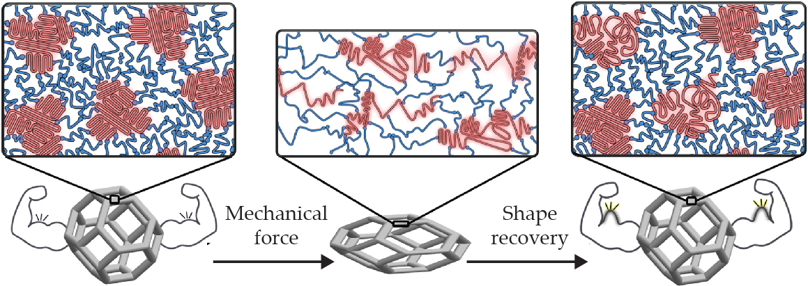 Illustration of a metamaterial that strengthens after being squeezed.