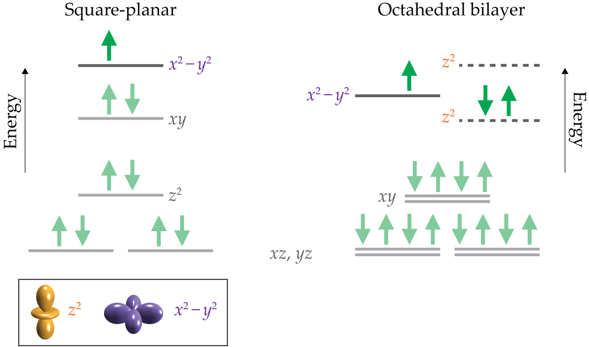 Two superconducting nickel materials have different electronic structures in their 3d valence shells.