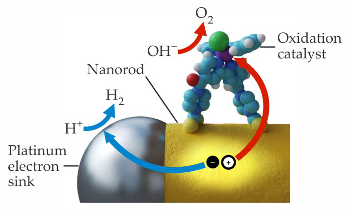 New nanoarchitecture generates hydrogen