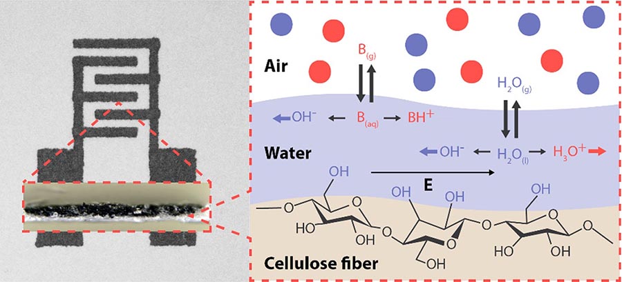 Photo of arrange with inset showing the air, water, fiber chemical relationship