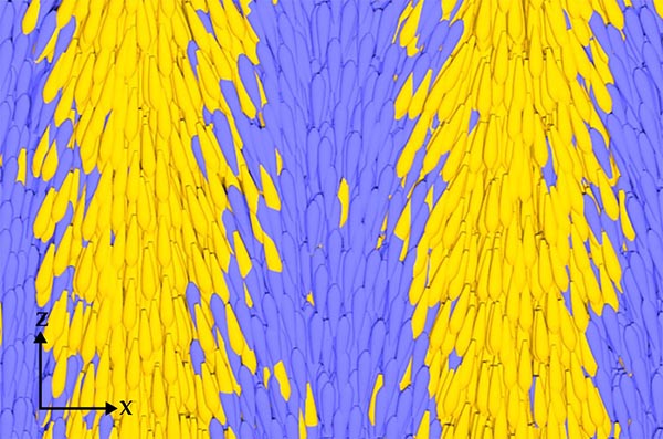 Model of the separation between low- and high-temperature phases
