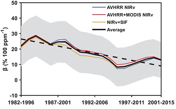 CO2 fertilization effect estimations over time