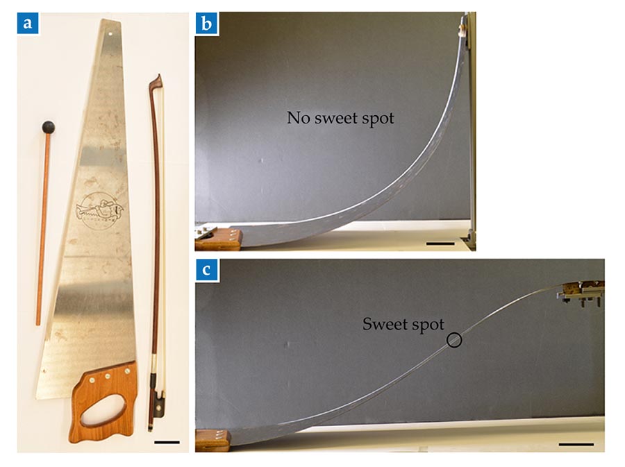 A carpenters saw along side a violin bow and drumstick. Then two images of the saw bent in one-direction and in two-directions