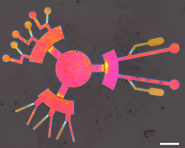 Microfluidic device.