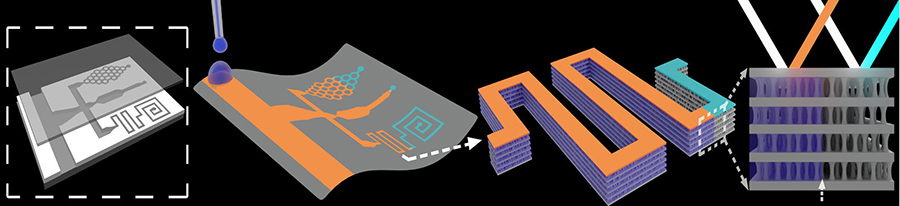 Microfluidic device illustration.