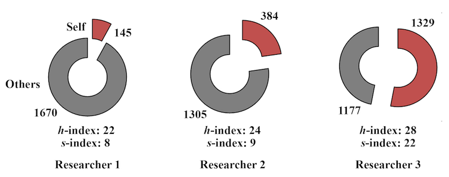 Self-citation examples