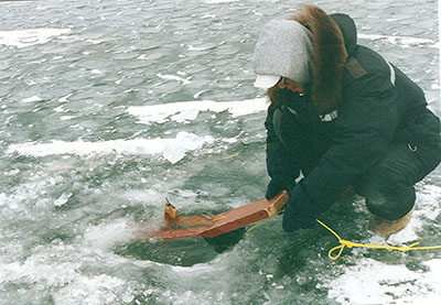 Setting up a fish net.