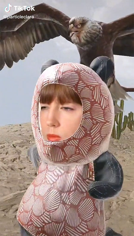 TikTok meme by Clara Nellist.
