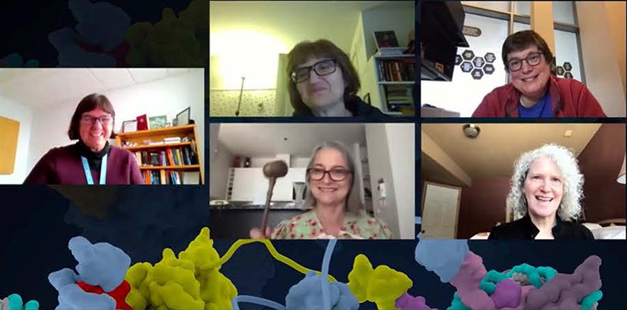 Virtual meeting of the Biophysical Society officers