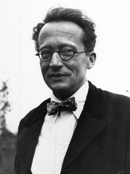 Erwin Schrödinger (1887–1961) | Physics Today | AIP Publishing