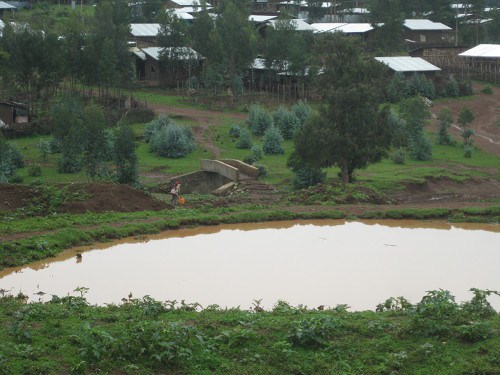 The Addis Alem bridge built by the EWB team in 2011. CREDIT: Catherine O'Riordan