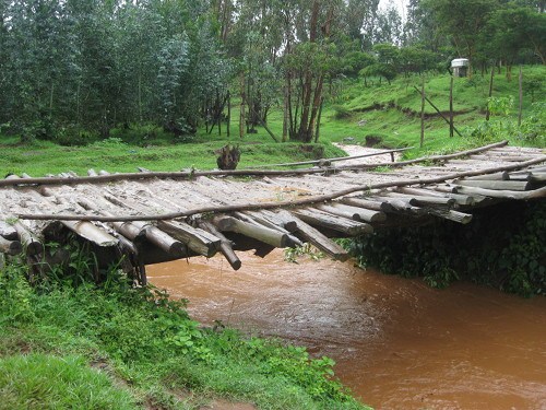 Typical bridge construction in Addis Alem. Several Eucalyptus logs are tied together to form a crossing. Bridges like this one are often rebuilt after every rainy season. During the rainy season, animals and people occasionally slip off and are swept downstream. CREDIT: Catherine O'Riordan