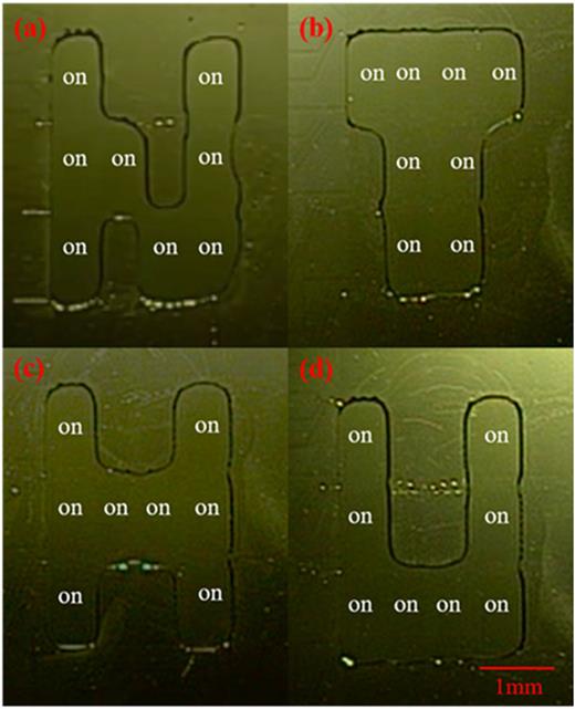 Microfluidic patterning using a digital microfluidic system | AIP ...