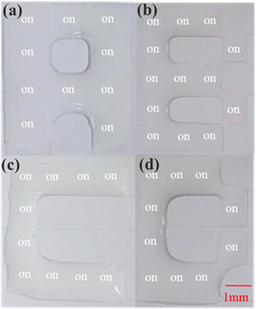 Microfluidic patterning using a digital microfluidic system | AIP ...