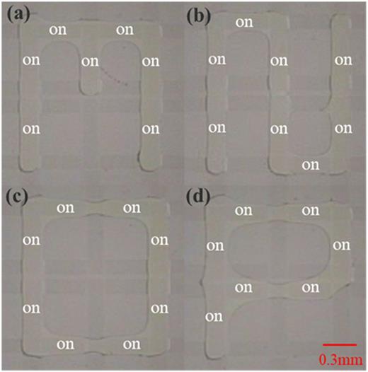 Microfluidic patterning using a digital microfluidic system | AIP ...
