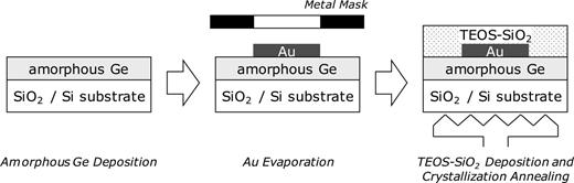 FIG. 1. Experimental procedure.