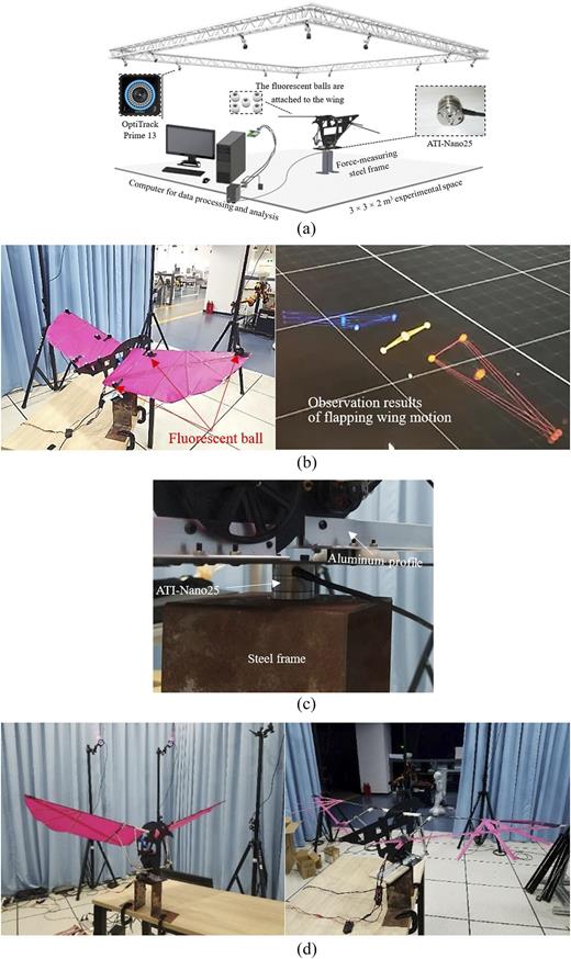 Design and experiment of a bionic flapping wing mechanism with flapping ...