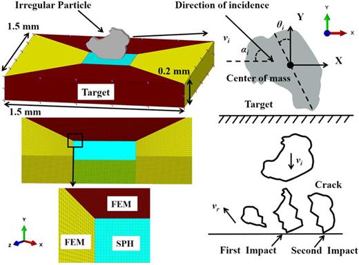 Numerical simulation of particle fracture and surface erosion due to ...