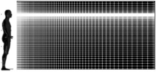 FIG. 1. Schematic of the computational mesh shown in 2D (note that the human figure is for demonstration only).